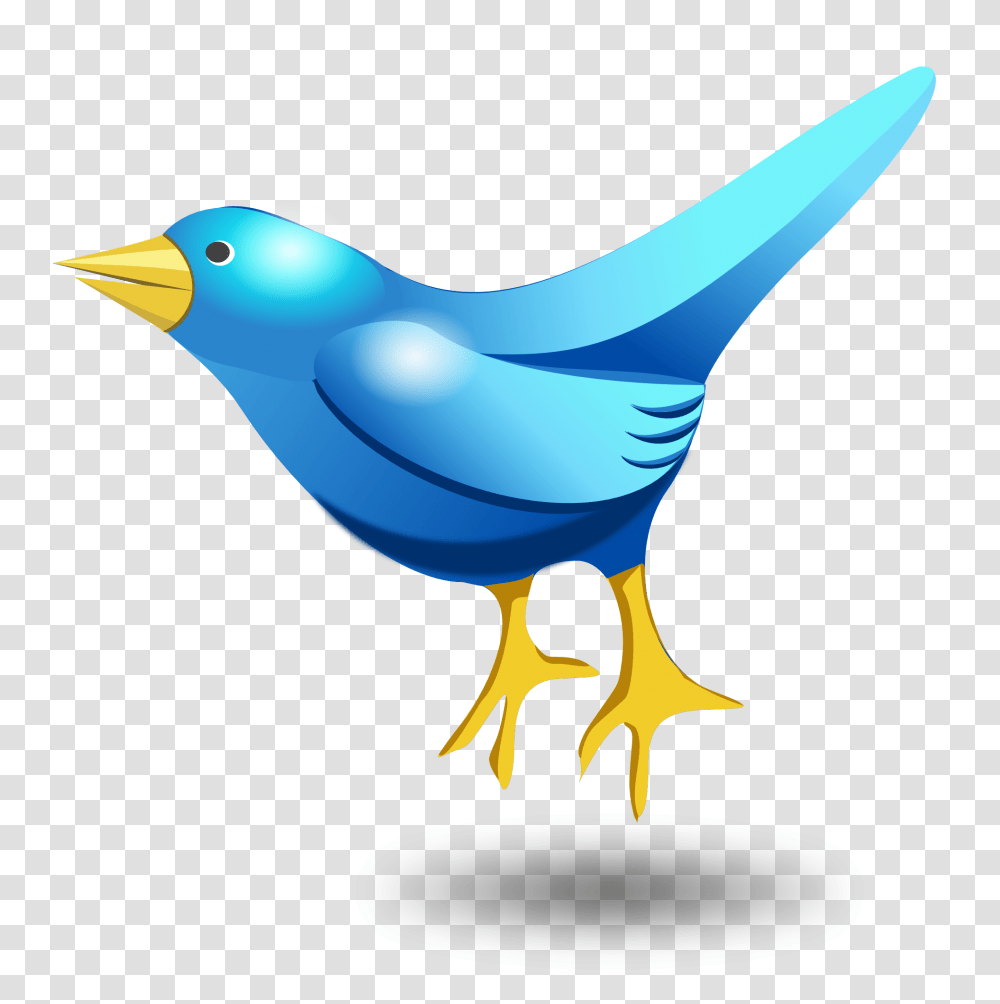 Bird Vector Image Bird Vector, Jay, Animal, Bluebird, Blue Jay Transparent Png