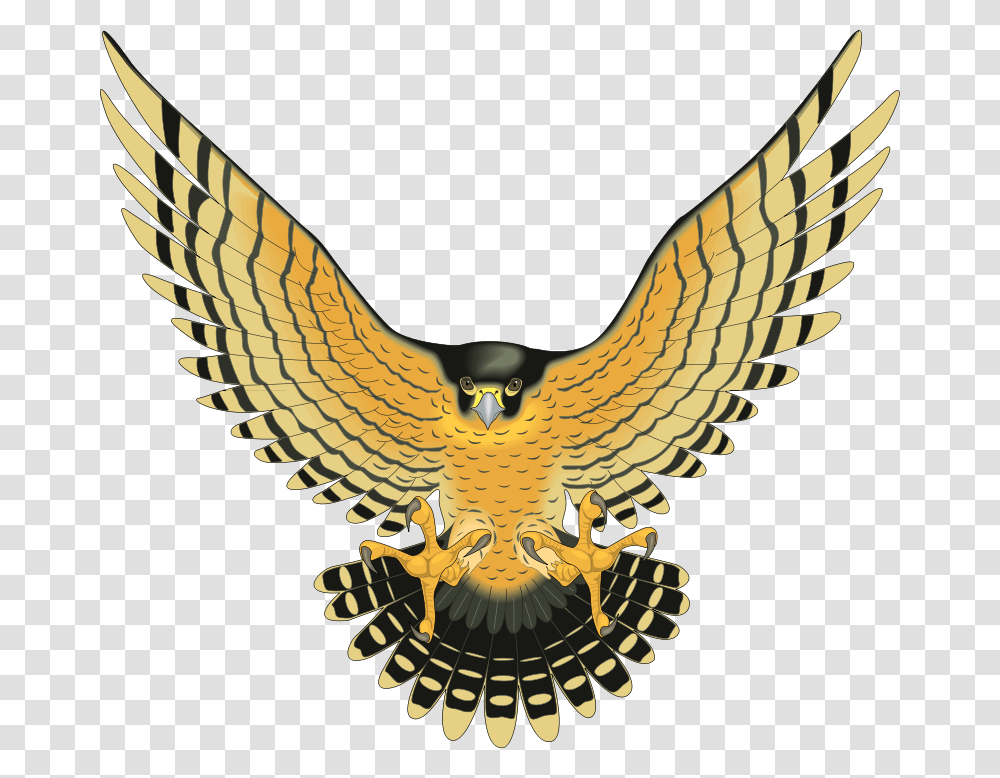 Bird Vector Yellow Birds Of Prey, Eagle, Animal, Emblem Transparent Png