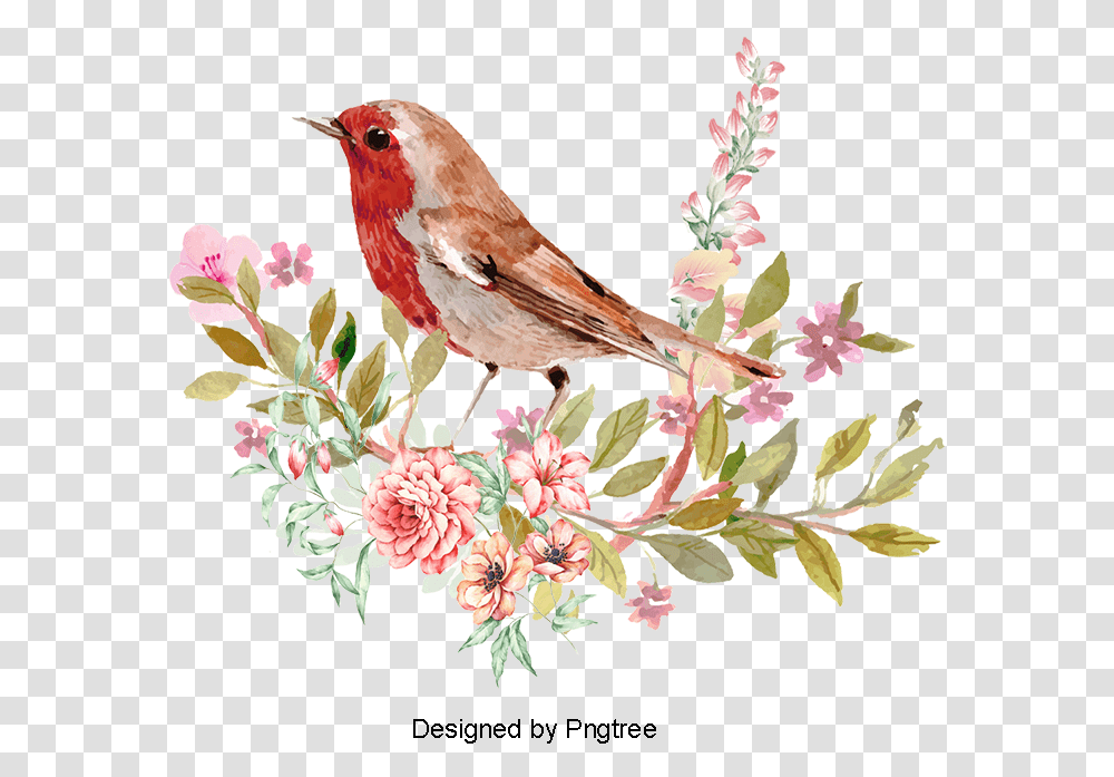 Bird Watercolor Clipart, Animal, Finch, Cardinal, Plant Transparent Png