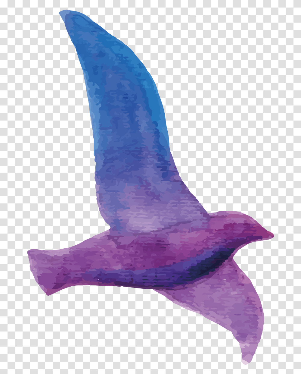 Bird Watercolor Purple, Animal, Sea Life, Mammal, Invertebrate Transparent Png