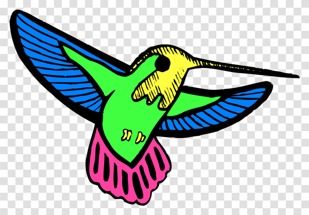 Bird Wings Hummingbird Free Vector Graphic On Pixabay Colibri Animados Y Tiernos, Animal, Clothing, Jay, Hat Transparent Png
