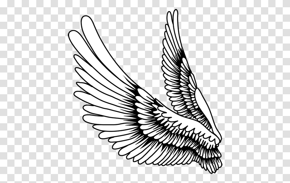 Bird Wings Images Free Bird Feather Art Drawing, Animal, Emblem, Symbol, Eagle Transparent Png