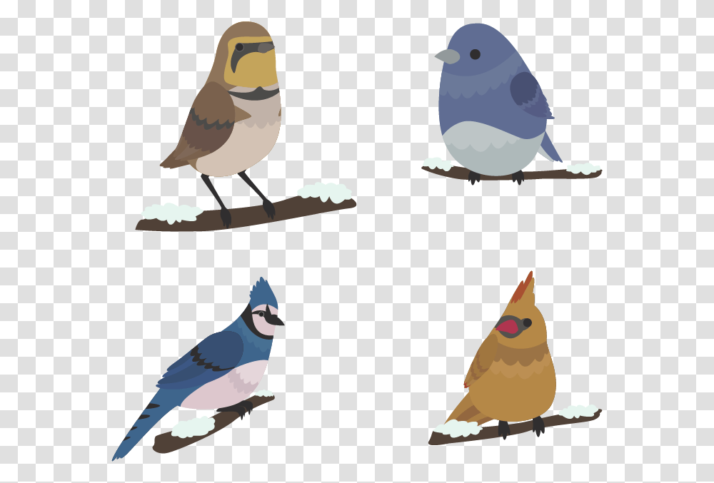 Bird Winter Euclidean Vector Mountain Bluebird, Jay, Animal, Blue Jay, Sparrow Transparent Png