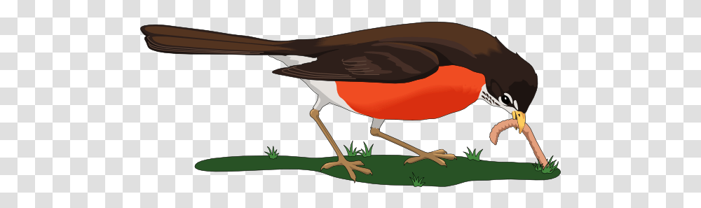 Bird With Worm Bird Came Down The Walk Emily Dickinson, Animal, Waterfowl, Airplane, Aircraft Transparent Png