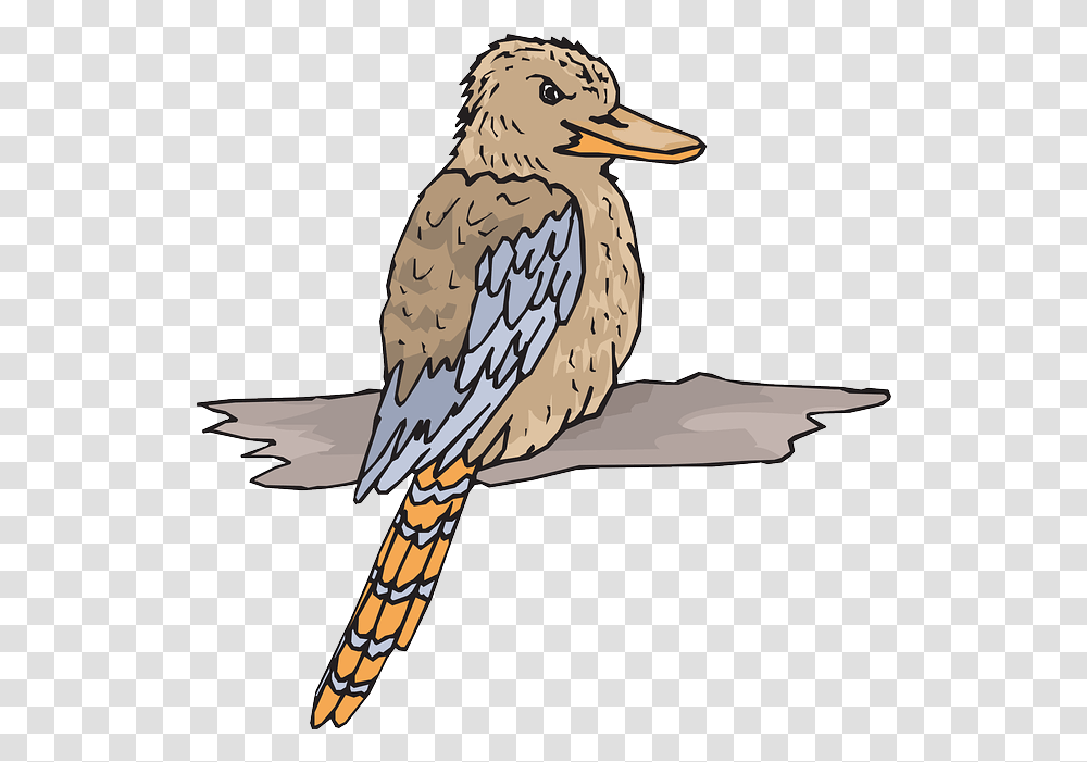 Bird Wood Wings Free Vector Graphic On Pixabay Kookaburra Clipart, Jay, Animal, Blue Jay, Bluebird Transparent Png