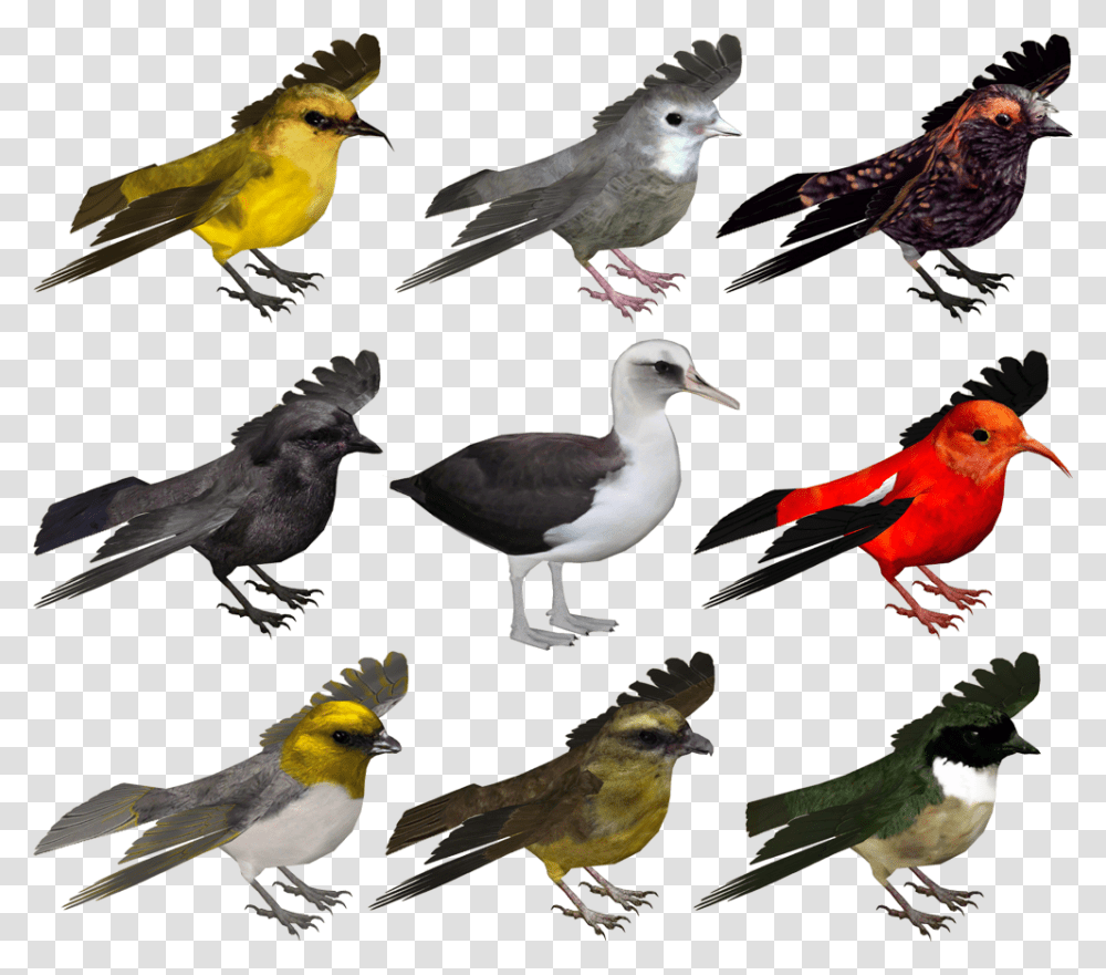 Bird Zoo Tycoon, Animal, Finch, Canary, Flock Transparent Png
