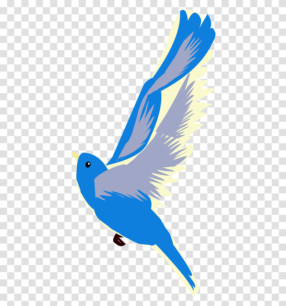 Birdblue Birdflyingnatureoutdoors Free Image From Blue Bird Flying, Animal, Bluebird, Jay, Blue Jay Transparent Png
