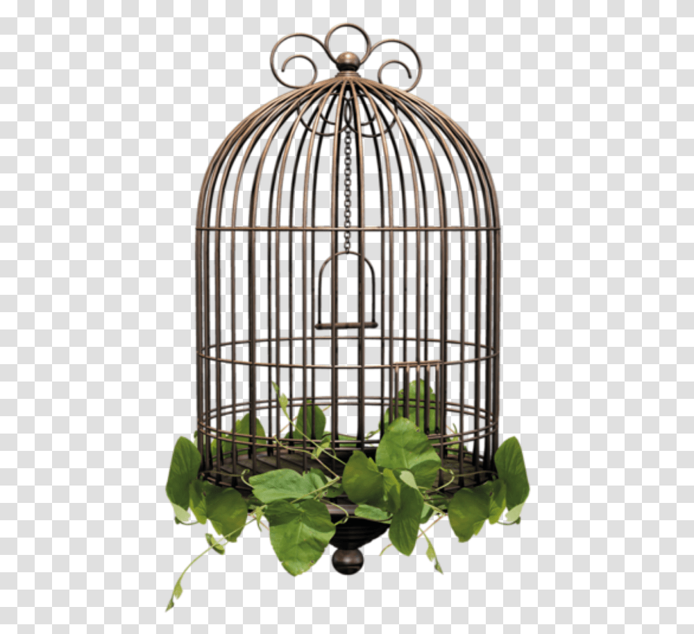 Birdcage Cage Bird Cage Background, Plant, Dungeon, Jar, Pottery Transparent Png