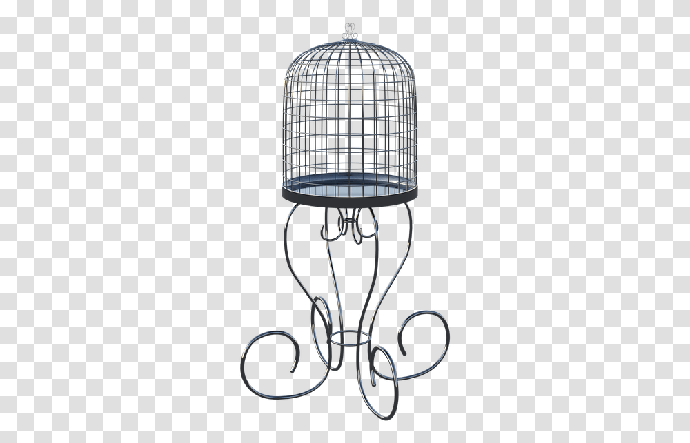 Birdcage Cage Birds Cylinder, Bird Feeder Transparent Png