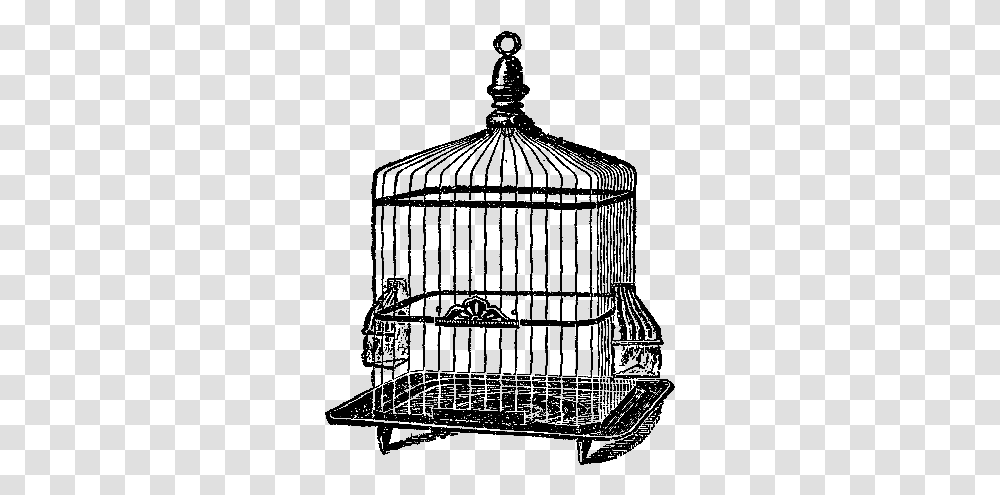 Birdcage, Nature, Outdoors, Night, Astronomy Transparent Png