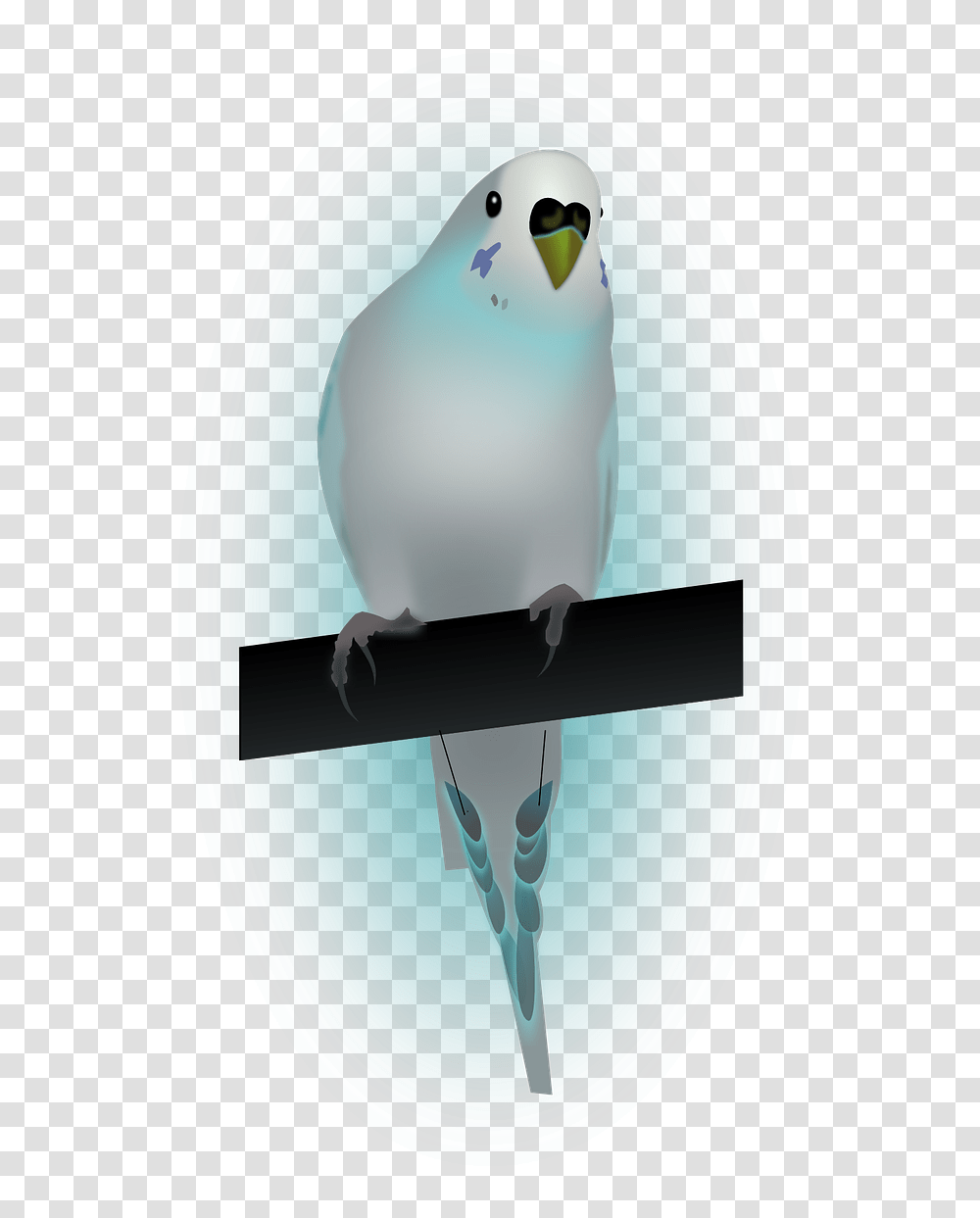 Birddovedove Of Peacepeace Papuka Falista, Animal, Blue Jay Transparent Png