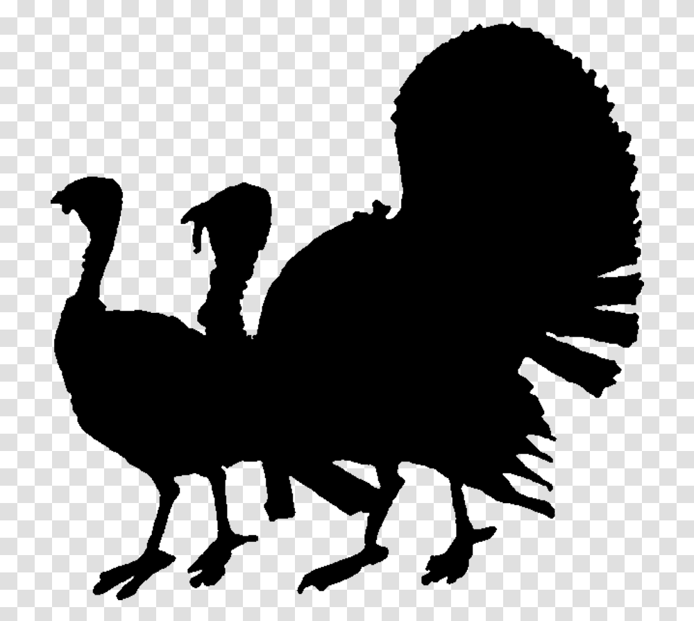 Birdflightless Turkey Silhouette, Outer Space, Astronomy, Universe, Outdoors Transparent Png