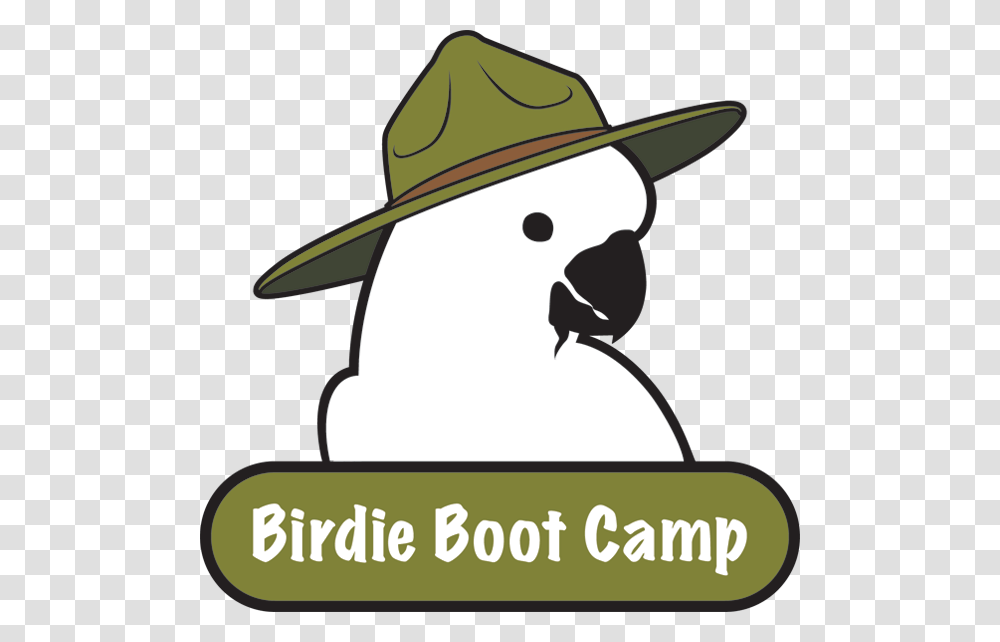 Birdie Boot Camp Miss Vickis Parrot Village, Hat, Face, Animal Transparent Png