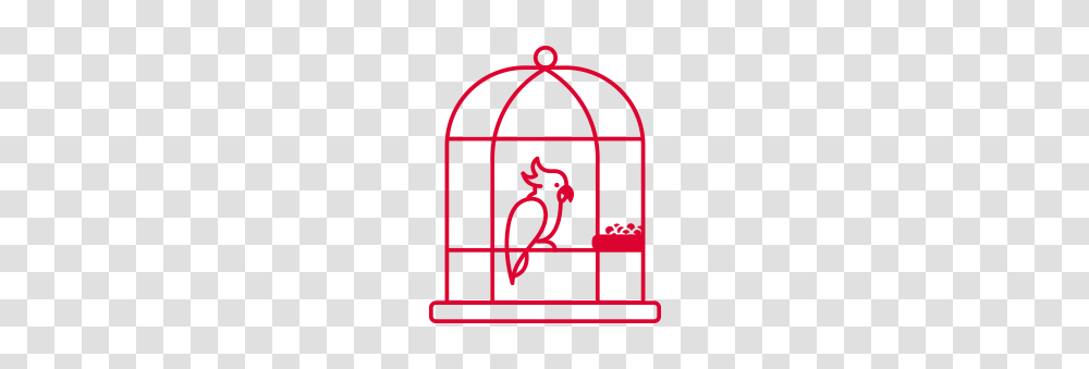 Birdies Choice, Window, Countryside, Outdoors, Nature Transparent Png