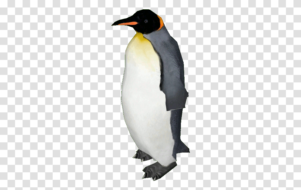 Birdpenguinflightless Birdvertebrateemperor Penguinking King Penguin Emperor Penguin, Animal, Person, Human Transparent Png