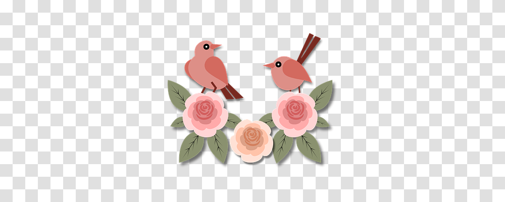 Birds Animals, Flower, Plant, Blossom Transparent Png