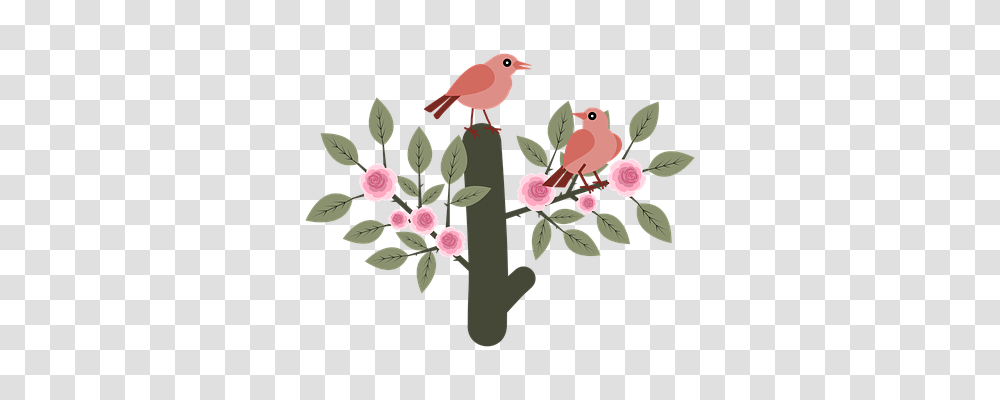 Birds Animals, Plant, Flower, Blossom Transparent Png