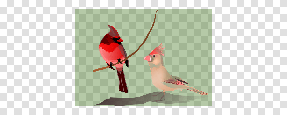 Birds Nature, Cardinal, Animal Transparent Png