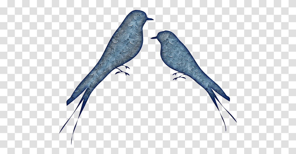 Birds Abstract Pretty Bluebirds Large Resizable Bird, Animal, Beak, Kiwi Bird, Bronze Transparent Png