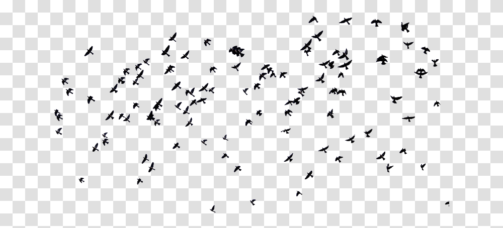 Birds And Overlay Image Migrating Birds Creative Commons, Outdoors, Alphabet Transparent Png