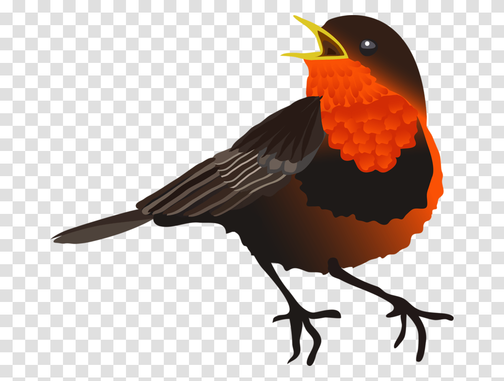 Birds, Animal, Blackbird, Agelaius, Beak Transparent Png