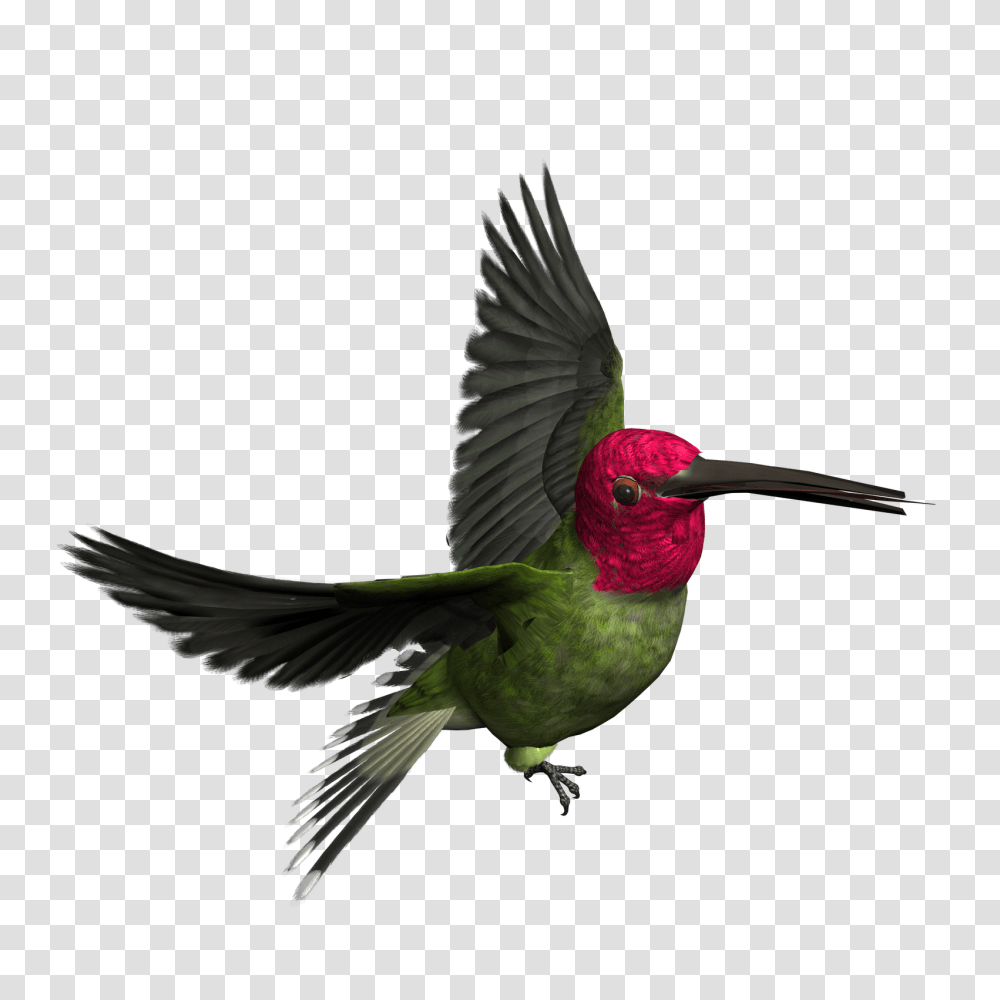 Birds, Animals, Bee Eater, Hummingbird, Flying Transparent Png