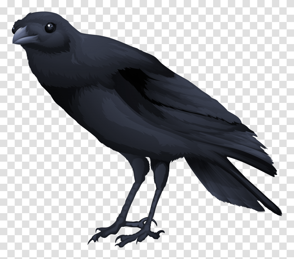 Birds, Animals, Crow, Blackbird, Agelaius Transparent Png