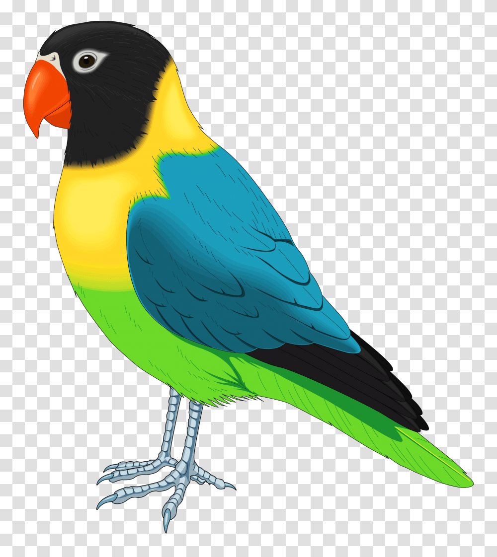 Birds, Animals, Parrot, Beak, Parakeet Transparent Png