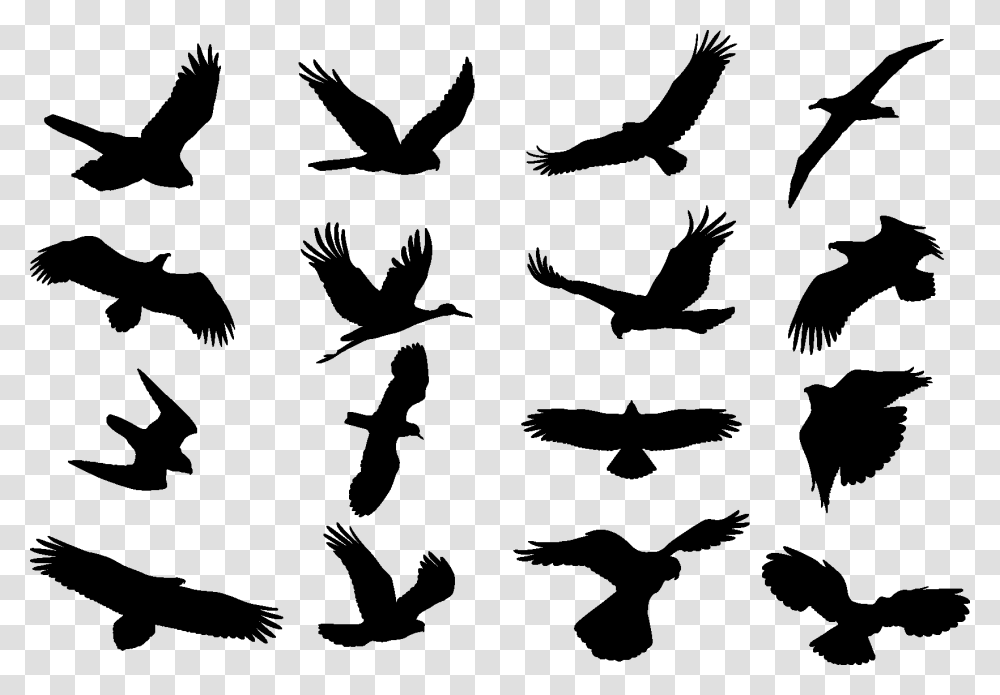Birds Cdr, Flying, Animal, Silhouette, Stencil Transparent Png