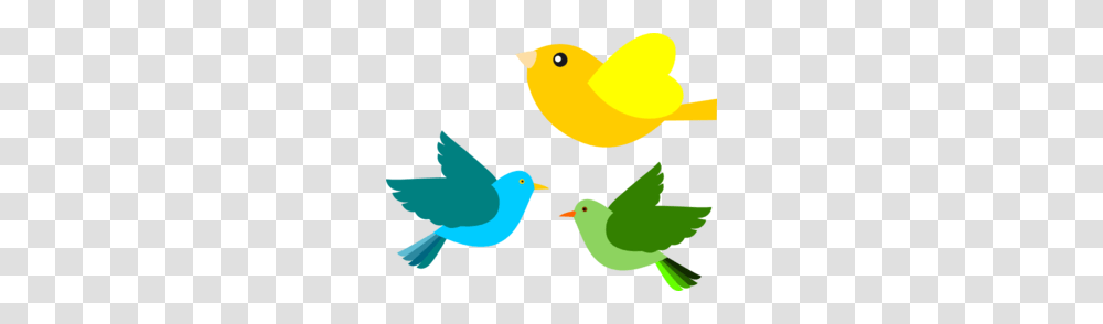 Birds Clip Art, Animal, Canary, Finch, Bluebird Transparent Png