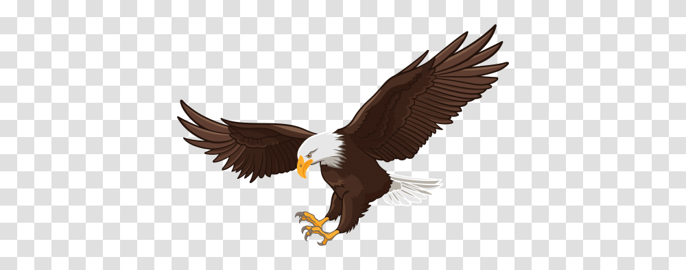 Birds Clip Art Art And Eagle, Animal, Bald Eagle, Flying, Kite Bird Transparent Png