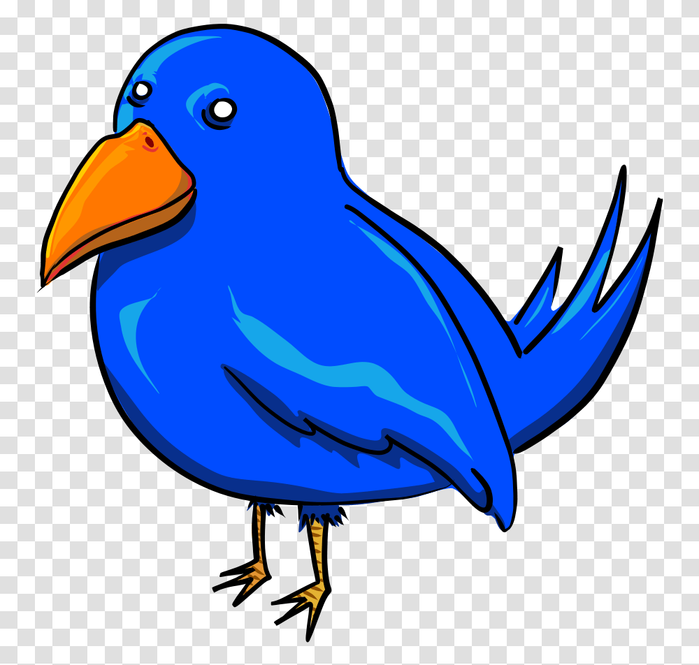 Birds Clipart, Animal, Beak, Jay, Finch Transparent Png