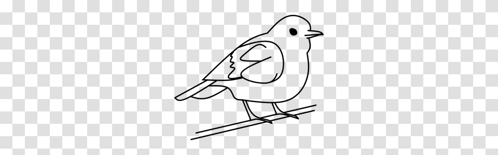 Birds Clipart Black And White Bird Tree Out Line Free Vector, Gray, World Of Warcraft Transparent Png