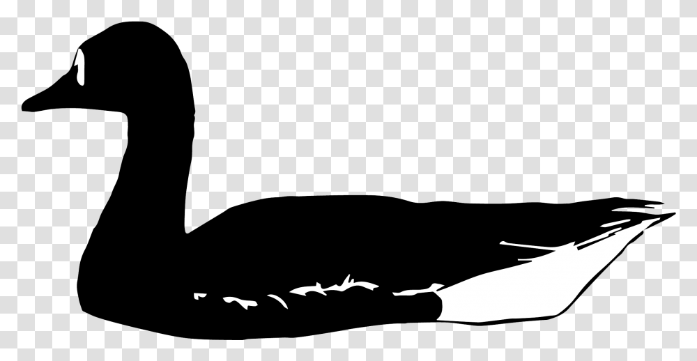 Birds Clipart Black Swan, Silhouette, Animal, Outdoors Transparent Png