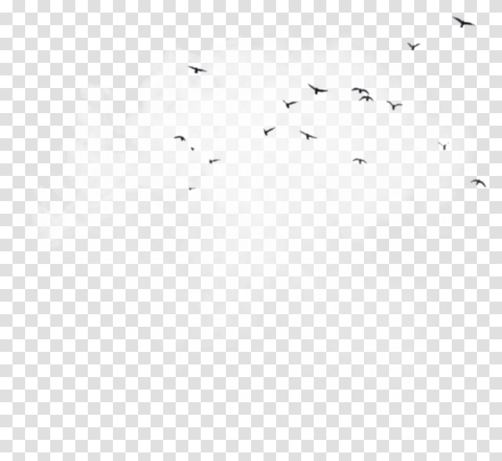 Birds Clouds Background Overlay Aesthetic Icon Darkness, Animal, Stencil, Stain, Silhouette Transparent Png