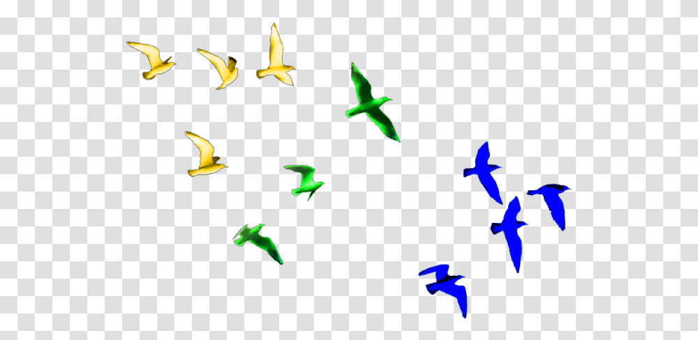 Birds Colorfulbirds Birds Flying, Animal, Star Symbol Transparent Png