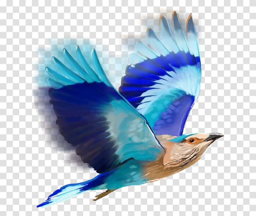 Birds Editing Clip Art Library Editing Birds Hd, Flying, Animal, Jay, Bluebird Transparent Png