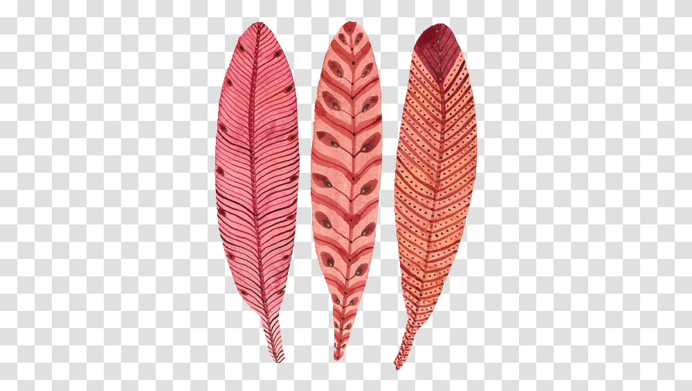 Birds Feather And Pink Image Illustration, Leaf, Plant, Flower, Blossom Transparent Png