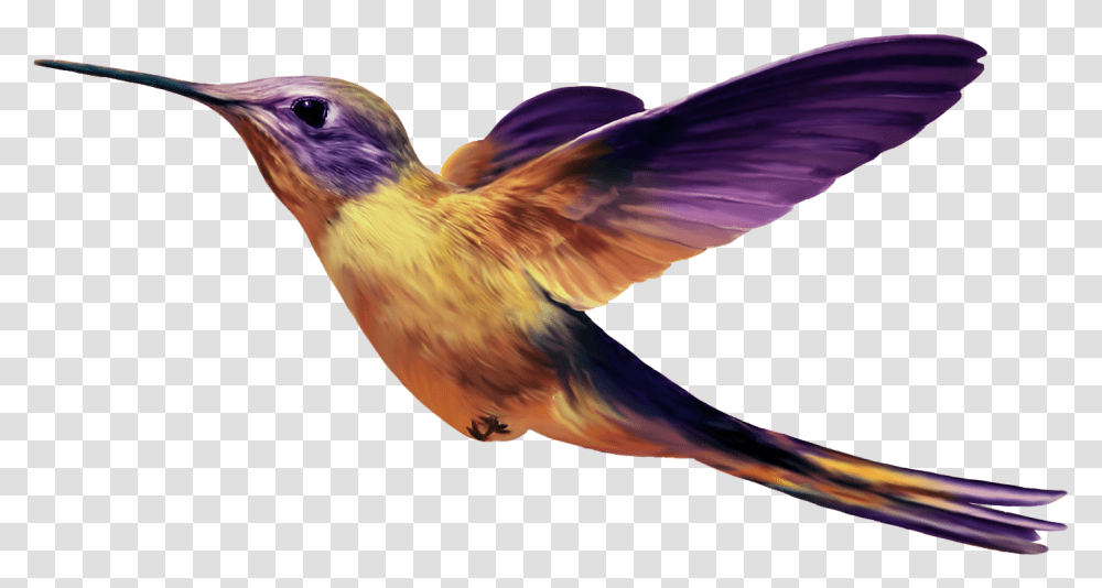 Birds File Purple And Yellow Hummingbird, Animal, Bluebird, Finch, Beak Transparent Png