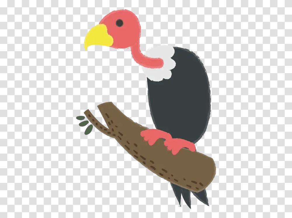 Birds Flashcards For Kids Todpolescom Illustration, Animal, Vulture, Arm, Beak Transparent Png