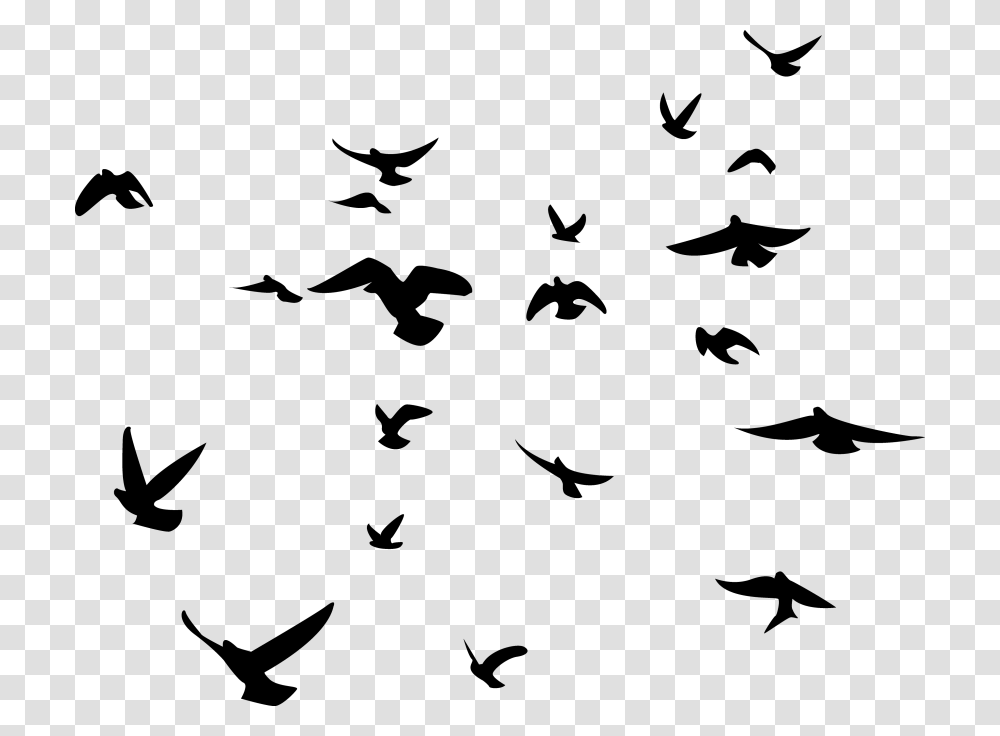 Birds, Flock, Animal, Silhouette, Flying Transparent Png