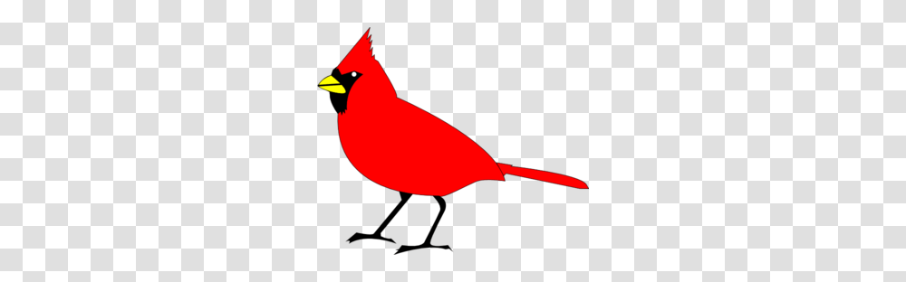 Birds Flying February, Cardinal, Animal Transparent Png