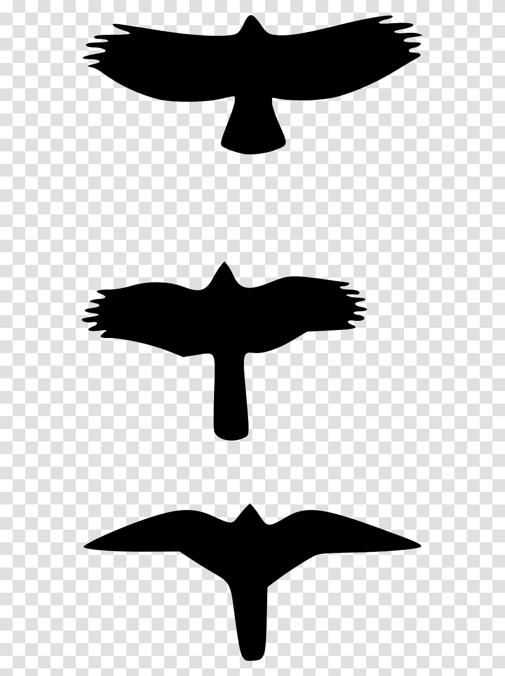 Birds Flying Silhouette Free Picture Falcon Vs Hawk Wings, Gray, World Of Warcraft Transparent Png