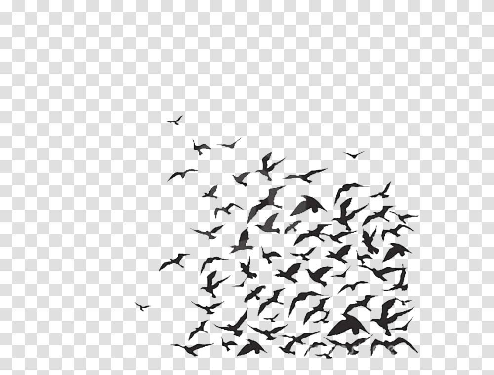 Birds For Wall Painting So Many Bird Flying, Nature, Outdoors, Night, Silhouette Transparent Png
