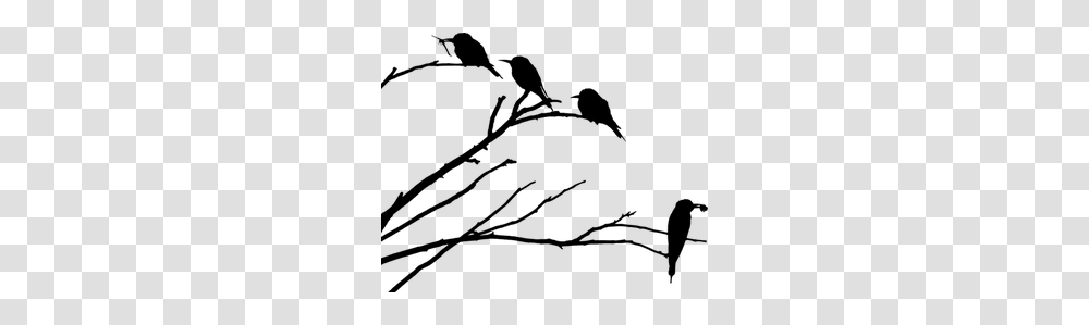 Birds Free Clipart, Gray, World Of Warcraft Transparent Png