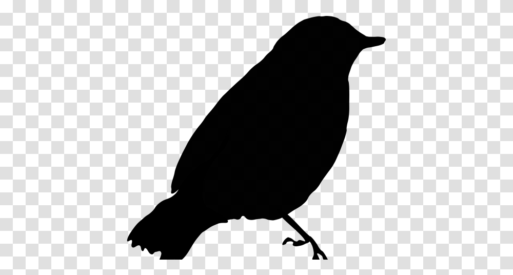 Birds Got Their Colours Story, Gray, World Of Warcraft Transparent Png
