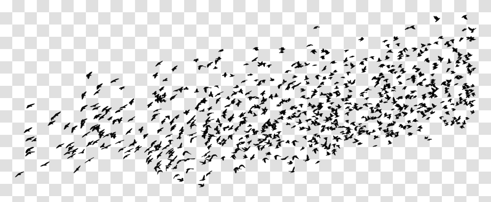 Birds, Gray, World Of Warcraft Transparent Png