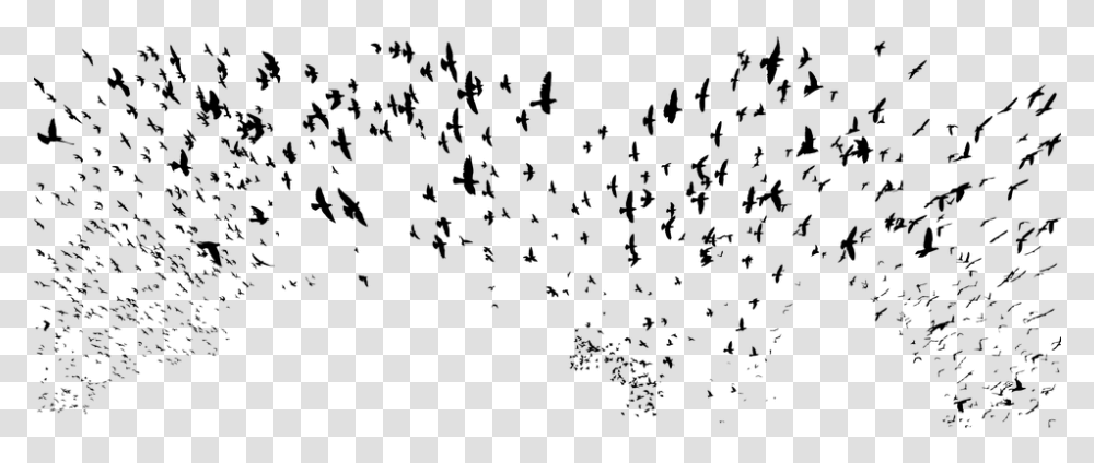 Birds, Gray, World Of Warcraft Transparent Png