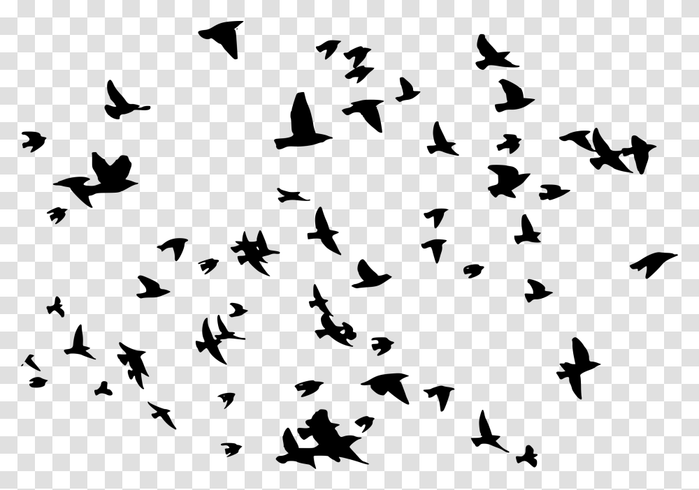 Birds, Gray, World Of Warcraft Transparent Png