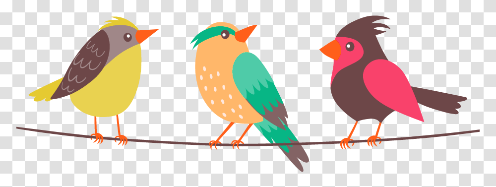 Birds Hd Images Stickers Vectors Vector Colorful Birds, Animal, Jay, Bluebird Transparent Png